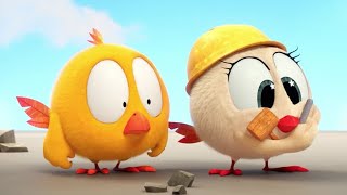 Little Builders | Where's Chicky? | Cartoon Collection in English for Kids | New episodes