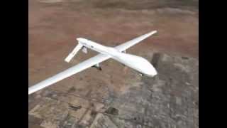 Predator Drones