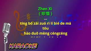 Download lagu Zhen Xi (珍惜) - male - karaoke no vokal (alex su) cover to lyrics pinyin mp3
