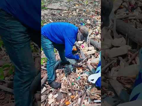 Plastic pollution is the fastest-growing threat to our oceans 😳 #plastic #pollution #ocean #planet