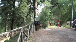 il-boschetto-pasteni-dopo-il-folk-festival-ad-ariano-mai-cosi-ordinato