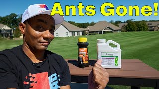 How to Get Rid of Fire Ants in Your Yard - 2 Easy Options