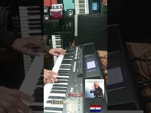 Freedom vs Musikk - Hang On  // intro mix // YAMAHA psr-s670