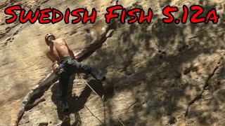 Uncut Send - Swedish Fish