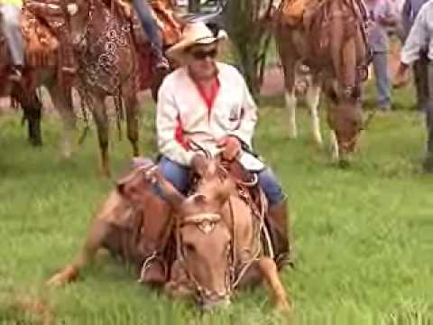 Programa Neusa Bighetti exibido no dia 28/02/2010 - Caminhada de Mulas