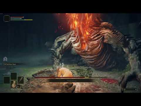 Elden Ring - Lvl 1 Wretch VS Magma Wyrm Makar [No Damage]
