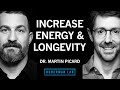 Improve Energy Longevity By Optimizing Mitochondria Dr Martin Picard