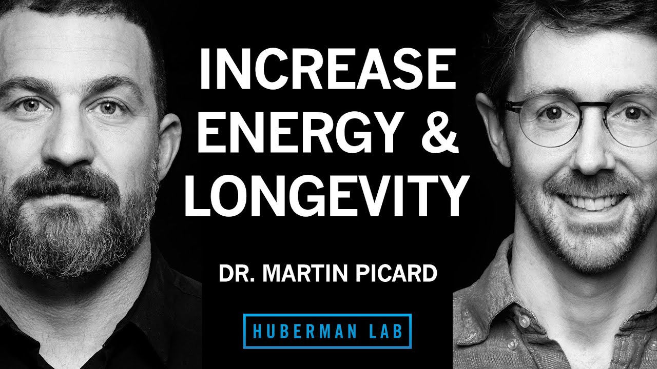 Improve Energy & Longevity by Optimizing Mitochondria | Dr. Martin Picard