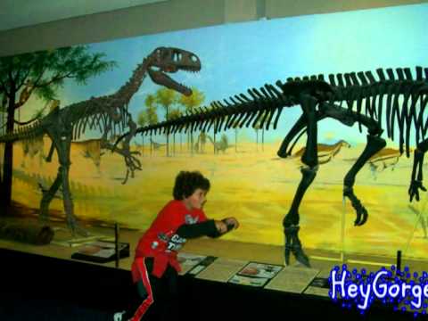 National Dinosaur Museum, Canberra, Aust