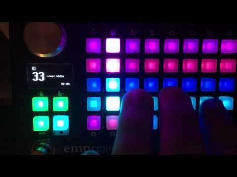 Empress ZOIA patch walk-through:  "Loopriddim -- a four-part loop sequencer"