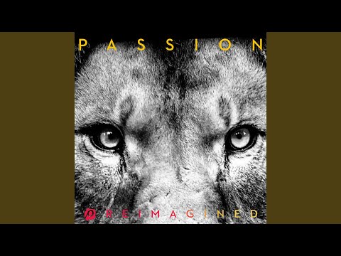 Build My Life (Reimagined/AMUNDRUD Remix)