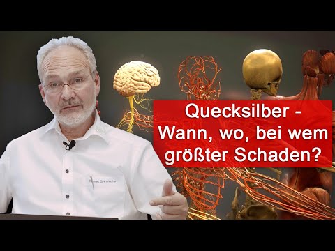 Nervenzellen und Quecksilber - wann, wo und bei wem ensteht größter Schaden? Was kann man tun?