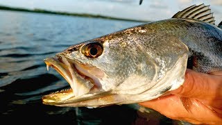Fishing Chest Deep during the Mullet Run