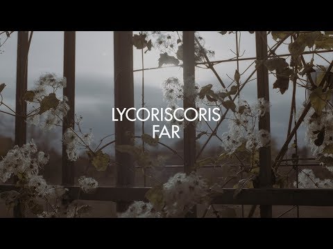 Lycoriscoris - Far