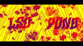 LSD Pond - LSD Pond(Full Album)
