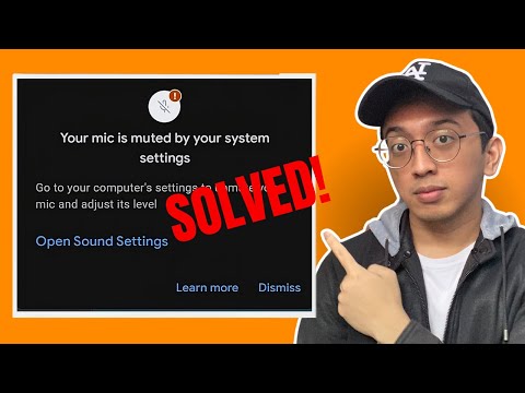 Your MIc is Muted by Your System Settings FIX - UPDATED 2026