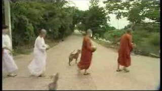 Everywoman - Buddhist Nun and Hijab Fashion