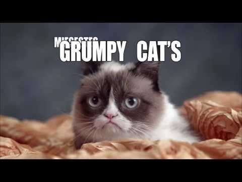 Grumpy Cat miesestes Weihnachtsfest ever - PromoClip -