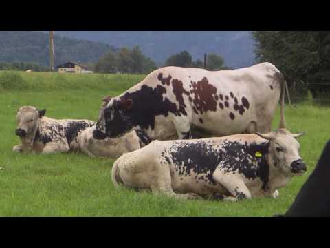 Gut auf der Haberhaide