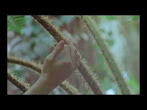 Estados Generales trailer