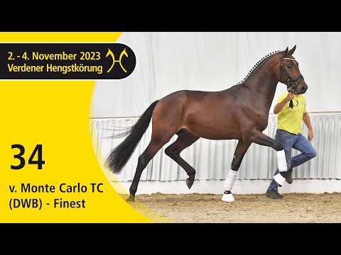 Verden Stallion Licensing 2023 - Dressage - Nov. 2-4 - No. 34 Stallion by Monte Carlo TC (DWB)