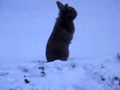 pourquoi la neige c est froid