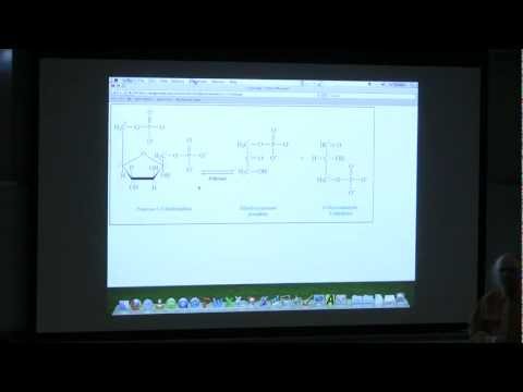 #26 BB 350 Glycolysis - Kevin Ahern's Biochemistry Online