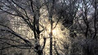 Vangelis-Antarctica-Song Of White