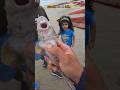 Rescue Mission This Shark Got A Second Chance