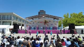 踊り陣　叶和　2026ひろしまフラワーフェスティバルきんさいYOSAKOIステージ演舞