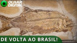 Miniatura do vídeo