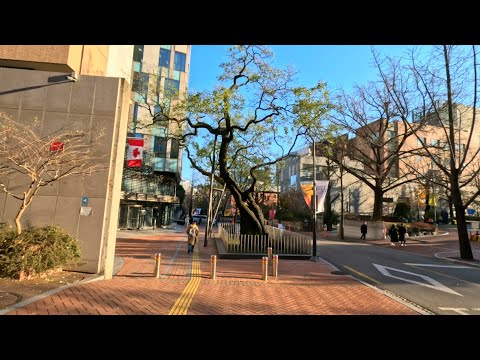 Caminhada 4K | Seul Deoksugung Stone Wall Road e Jeongdong-gil Walking Tour