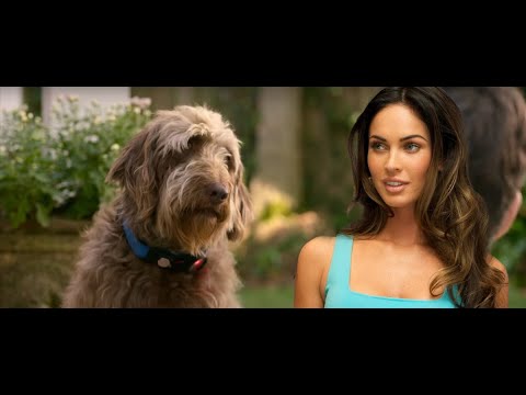 Думай как собака 2020 - трейлер