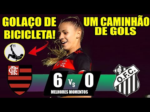 Gols e lances de Flamengo x Operário