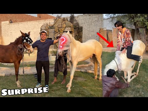 Dolly Ka Partner Reveal Kr Dea 😍 SURPRISE 