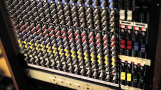 Scattered Trees Vlog / Daytrotter