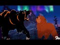Kenai Vs Bear Balto
