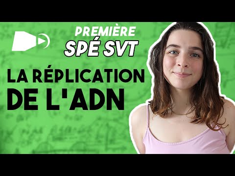 Réplication de l'ADN - 1ere SVT