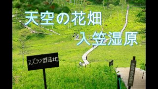 天空の花畑　入笠湿原