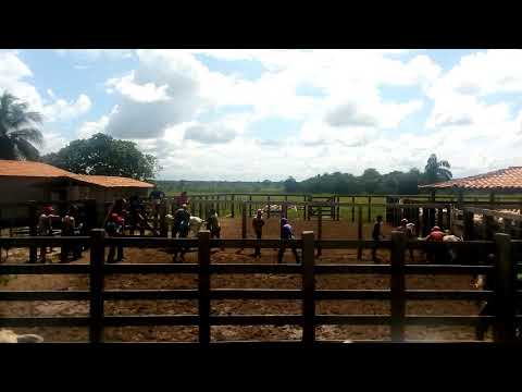 Santa luzia do parua