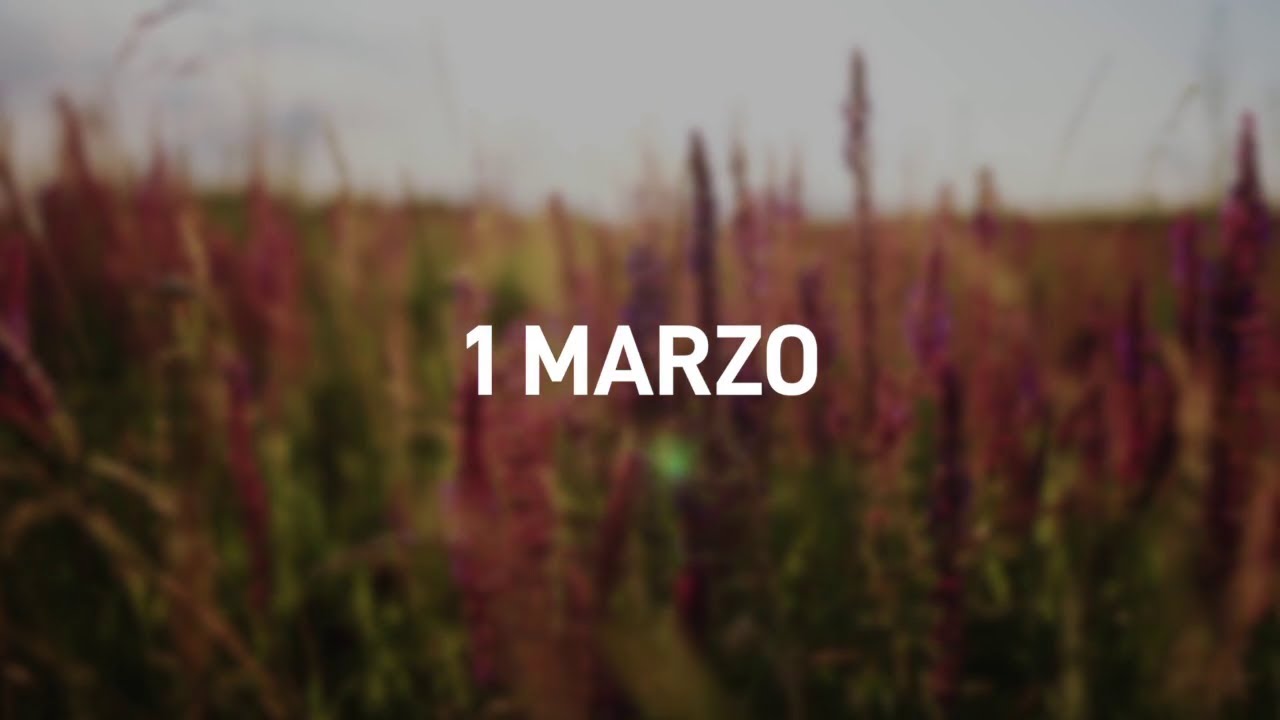 1 Marzo 2025 | Meditazione Parole di Vita