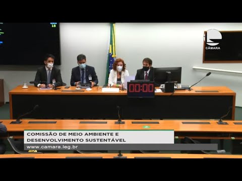 Comissão de Meio Ambiente e Desenv. Sustentável - Discussão e votação de propostas - 13/05/21