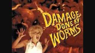 Damage Done By Worms-Don't Go To Late