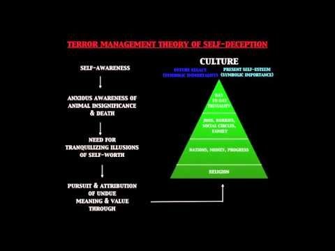 The pattern behind self-deception | Michael Shermer