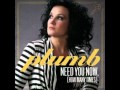 Plumb- Need You Now 