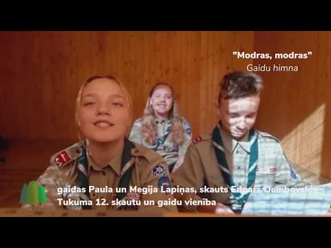 Modras, modras - gaidu himna