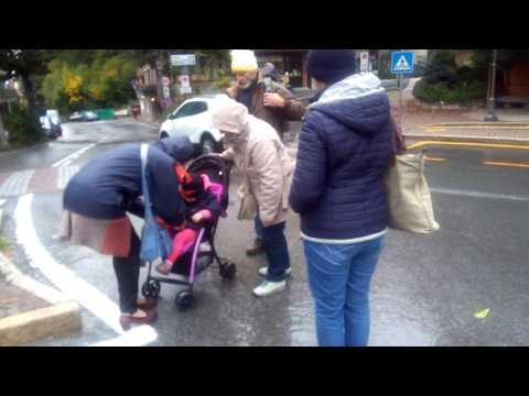 GITA IN TRENO A LIMONE