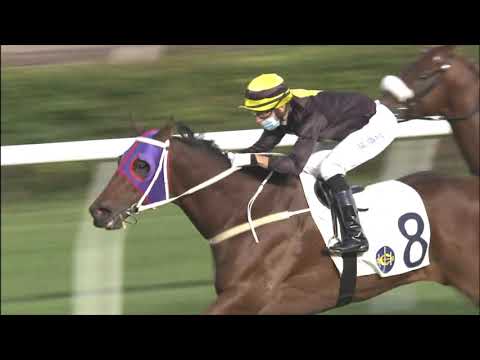 1/1/2021 (316)  Circuit Three - J Moreira