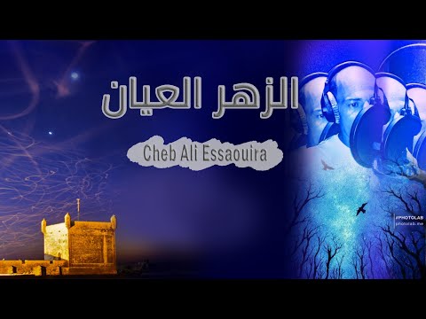 zhar l3yane    الزهر العيان cheb ali Essaouira