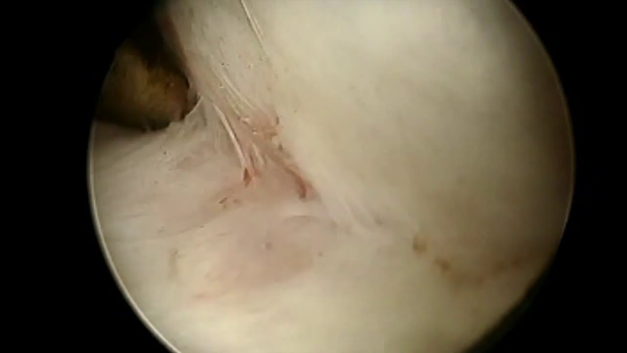 Ernesto Antonio Aboytes Velázquez-7